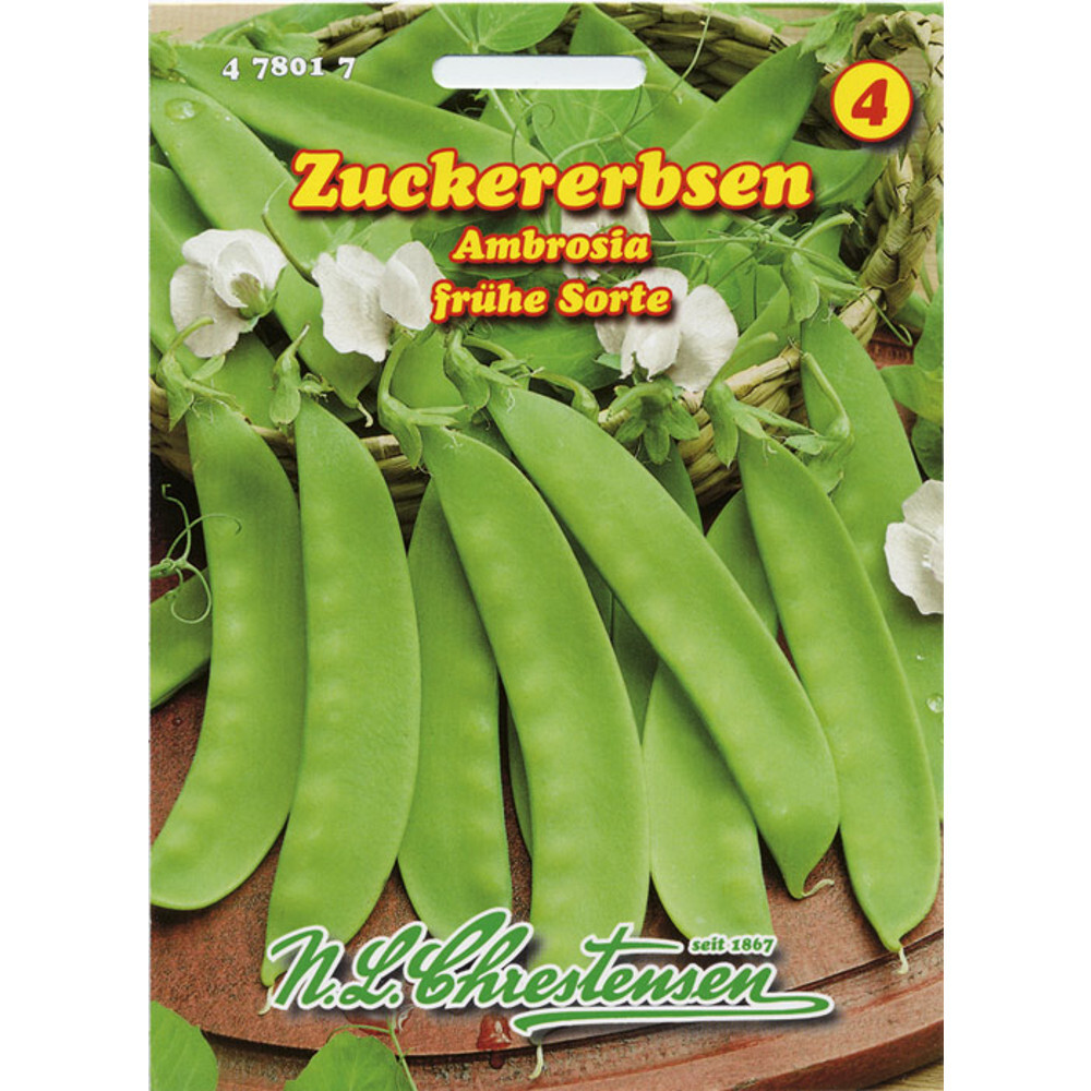Saatgut Zuckererbse ca. 12 laufende Meter