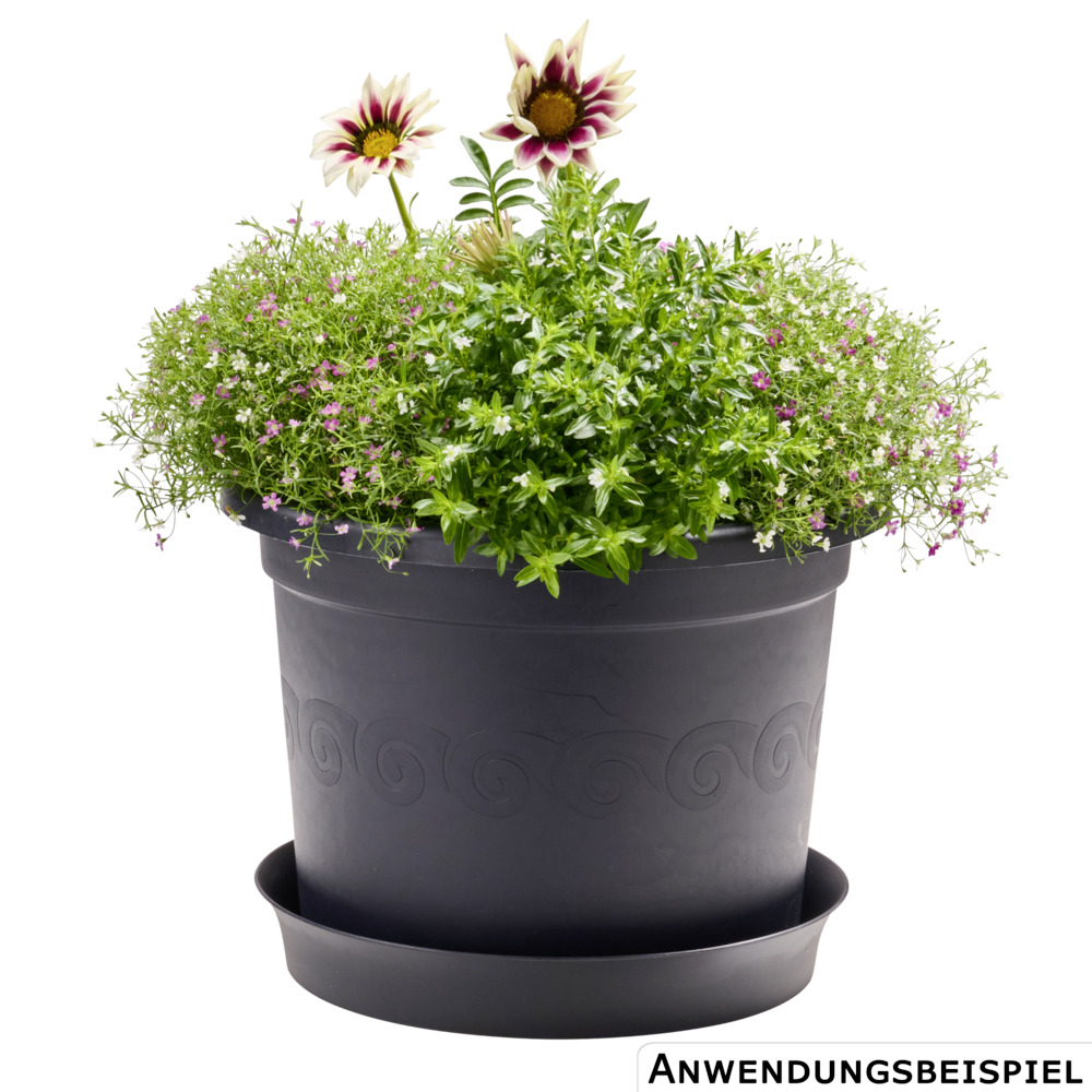 Prosperplast Blumentopf Plastica Ø 34 cm in anthrazit image number 1