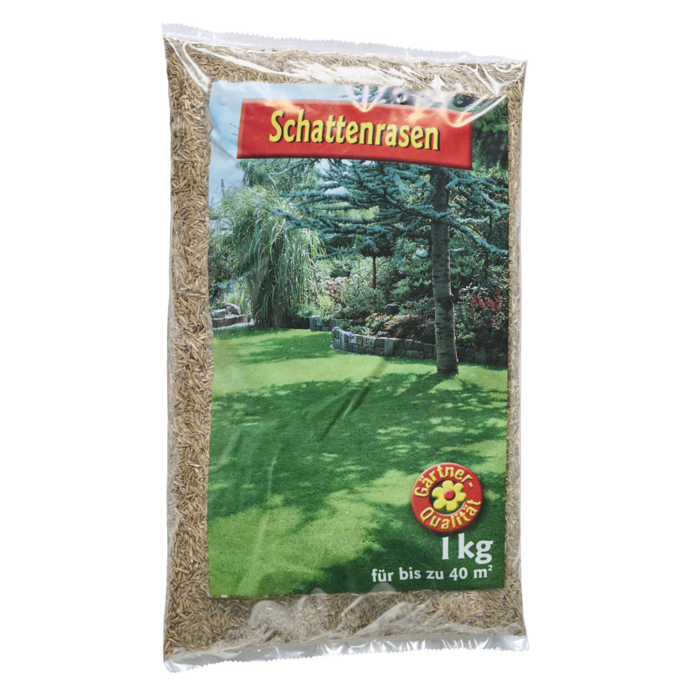 Schattenrasen Samen 1 kg Saatgut für 40 m² Rasenfläche