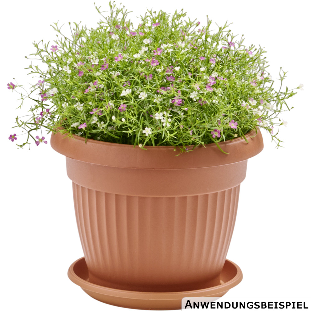 Prosperplast Blumentopf Terra rund Ø 20 cm cm in Terracotta image number 2
