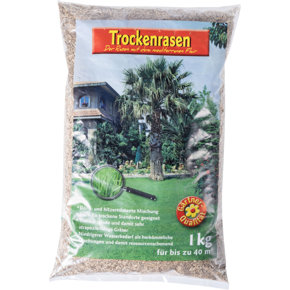 Trockenrasen Samen 1 kg 40m²