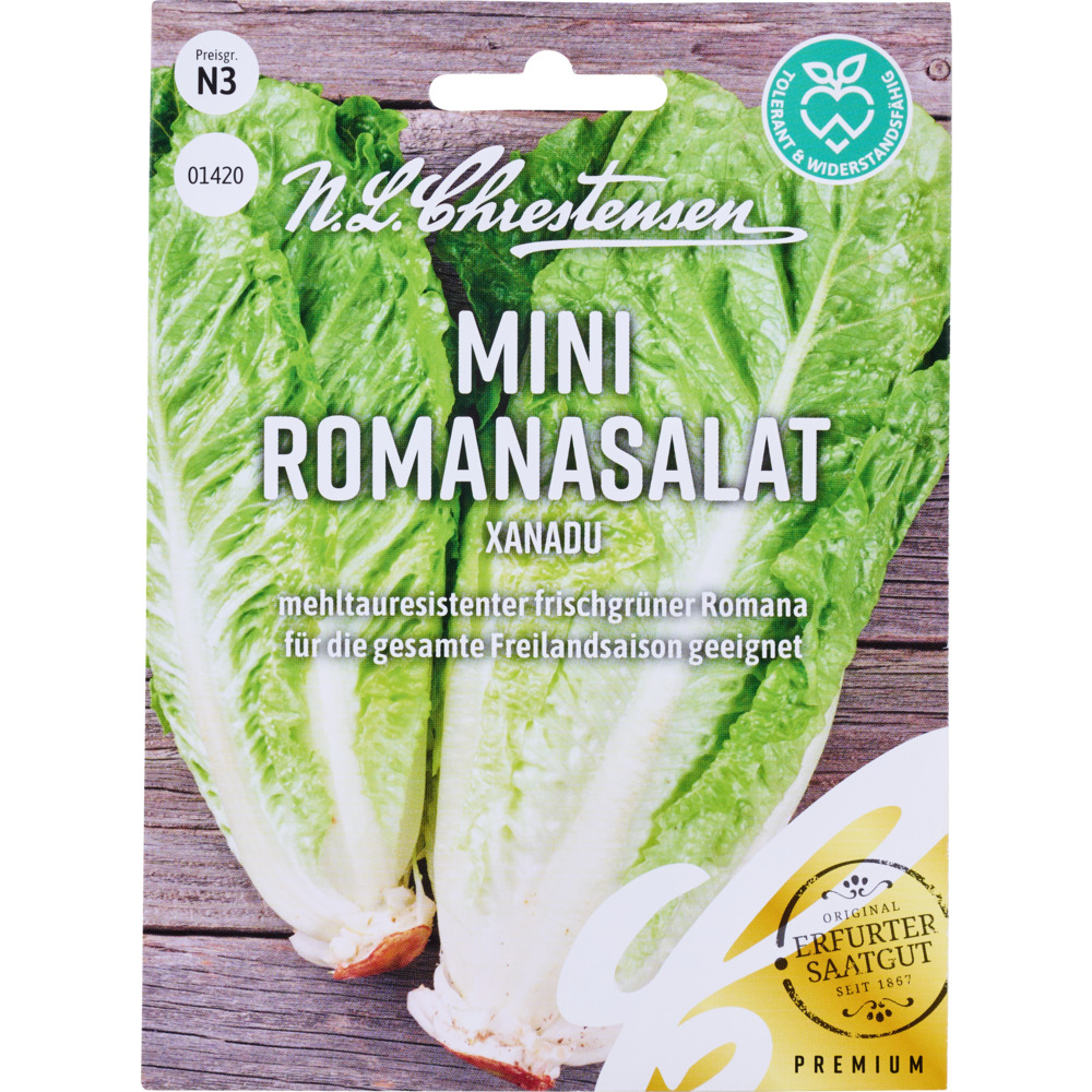 Saatgut Mini Romanasalat Xanadu image number 0