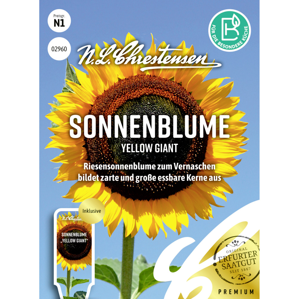 Saatgut Sonnenblume Yellow Giant