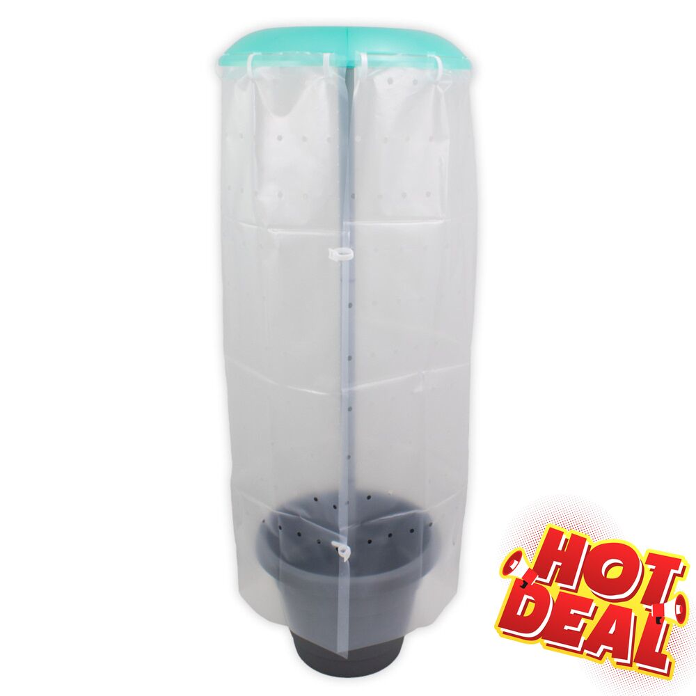 Tomatenhaube Kunststoff Set 4-teilig