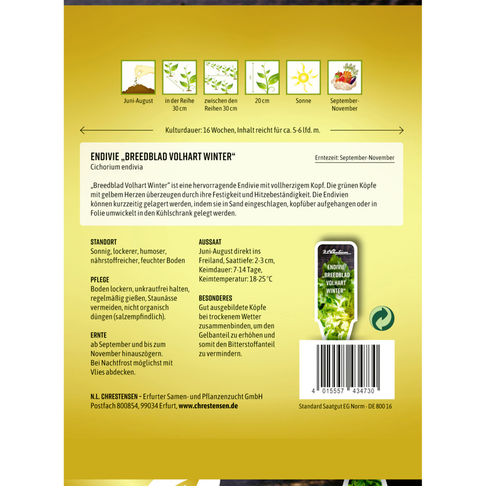 Saatgut Endivie Breedblad Volhart image number 1