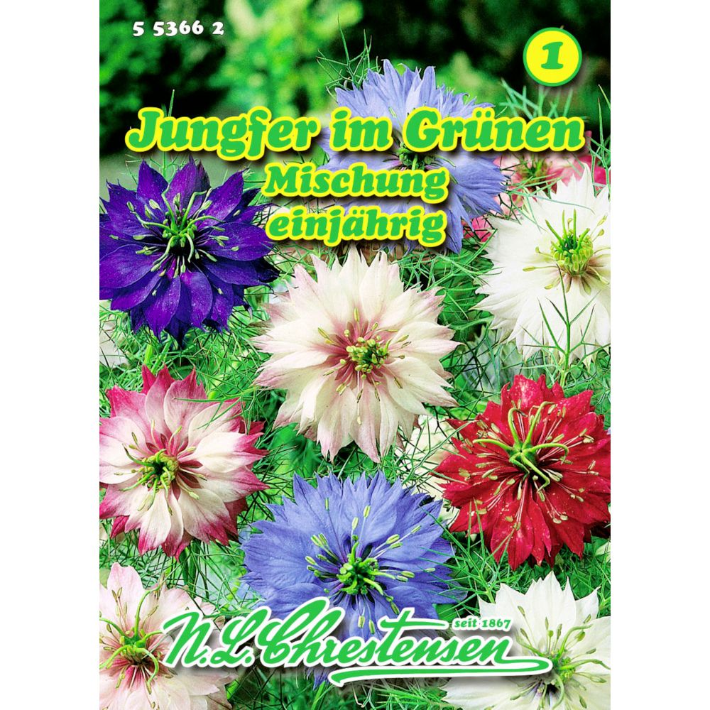 Saatgut Nigella Jungfer im Grünen ca. 120 Pflanzen image number 0