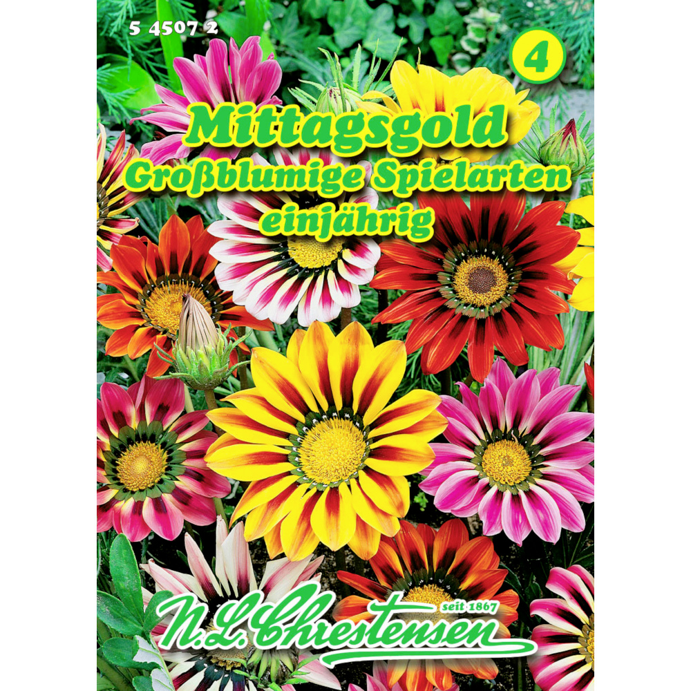 Saatgut Gazania-Hybrid ca. 40 Pflanzen image number 0