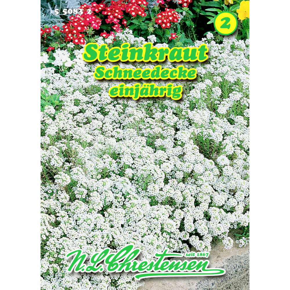 Saatgut Lobularia Steinkraut ca. 80 Pflanzen image number 0