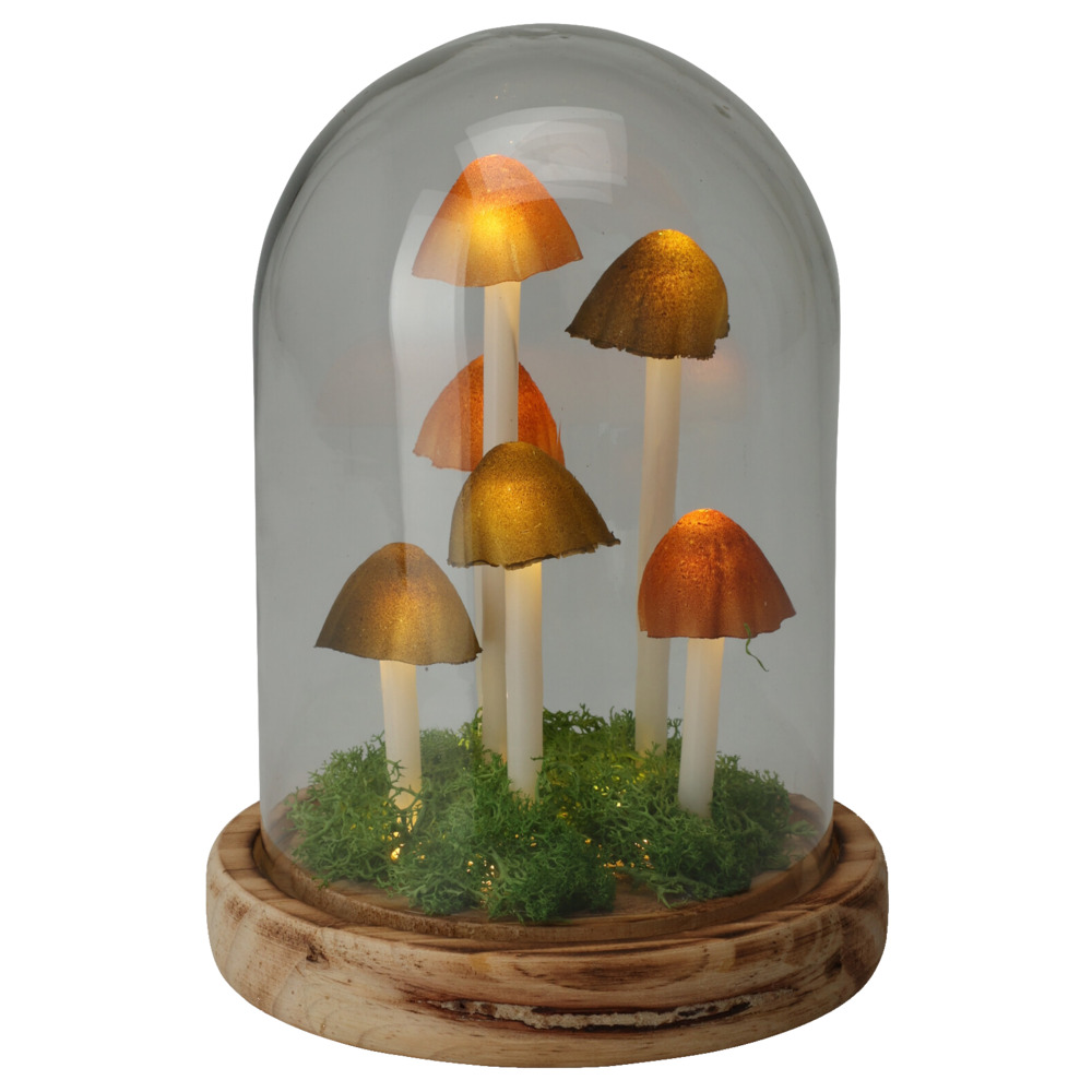 LED-Glaskuppel mit Pilzdeko und LEDs image number 0