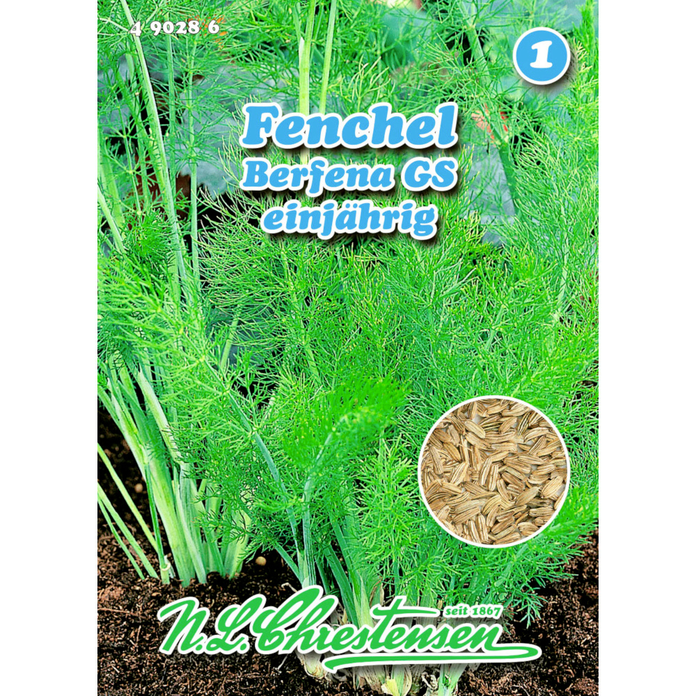 Saatgut Fenchel Berfena ca. 50 Pflanzen image number 0