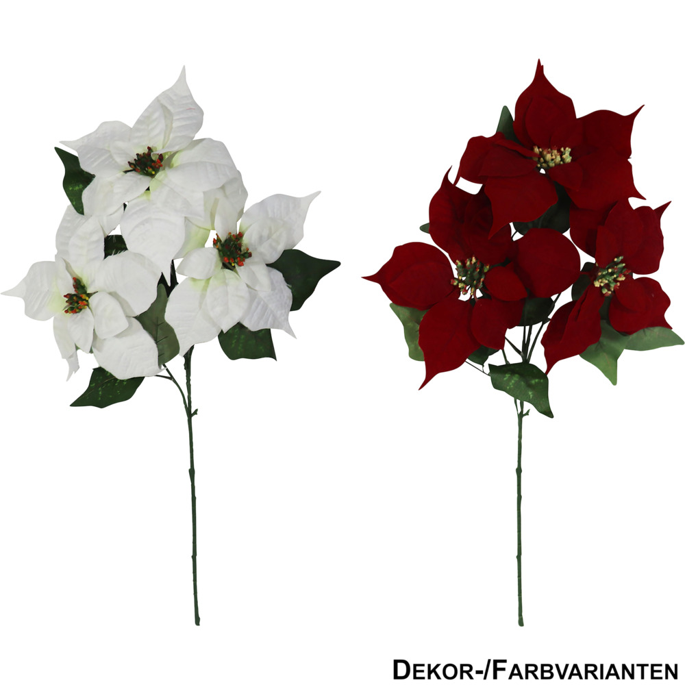 Christstern / Weihnachtsstern Stecker 53 cm - sortiert