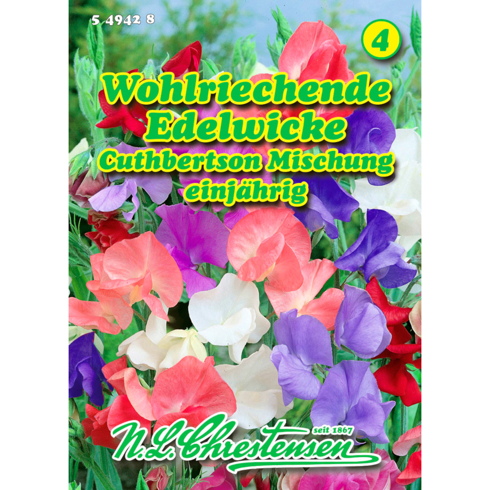Saatgut Lathyrus Edelwicken ca. 30 Pflanzen image number 0
