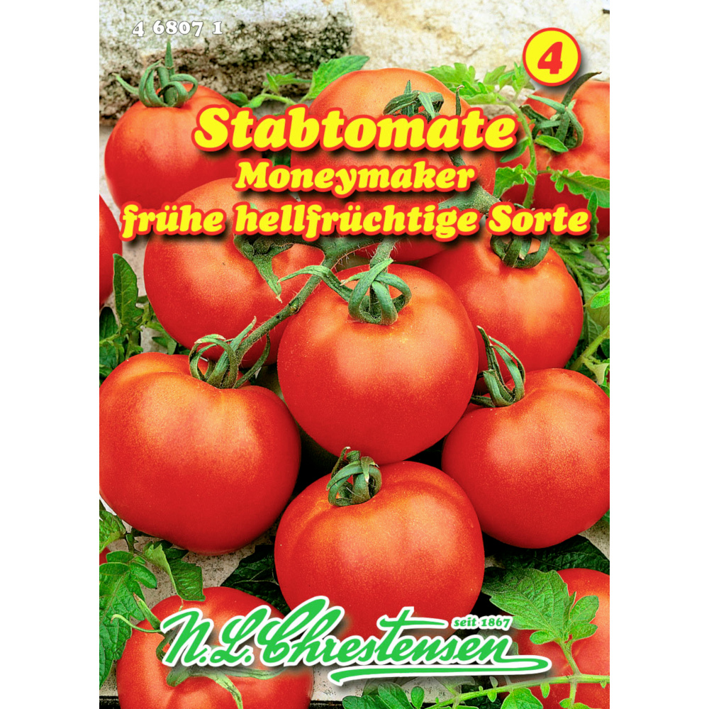 Saatgut Stabtomate Moneymaker ca. 25 Pflanzen image number 0