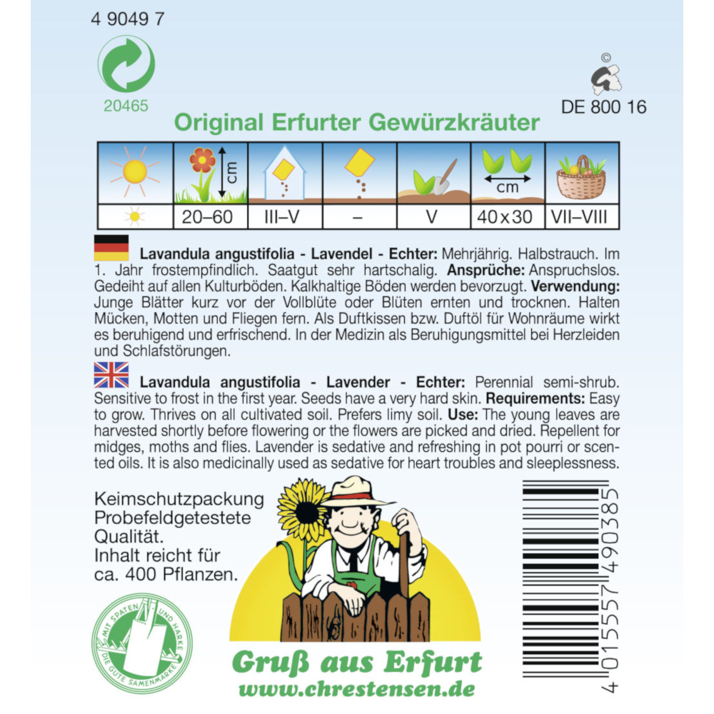 Saatgut Lavendel Echter ca. 400 Pflanzen image number 1