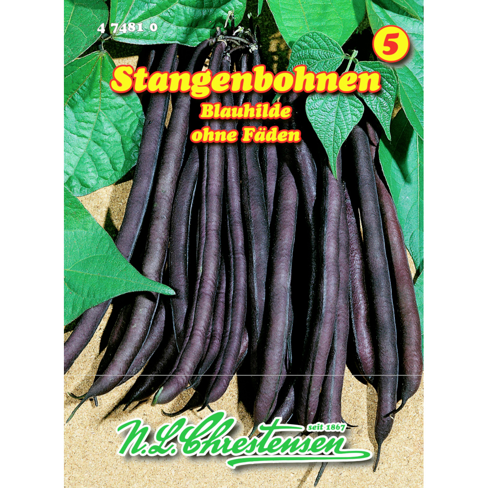 Saatgut Stangenbohnen Blauhilde ca. 15 Stangen image number 0