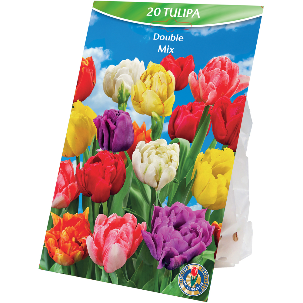 Blumenzwiebeln Double Tulpen Mix 20 Stück bunt