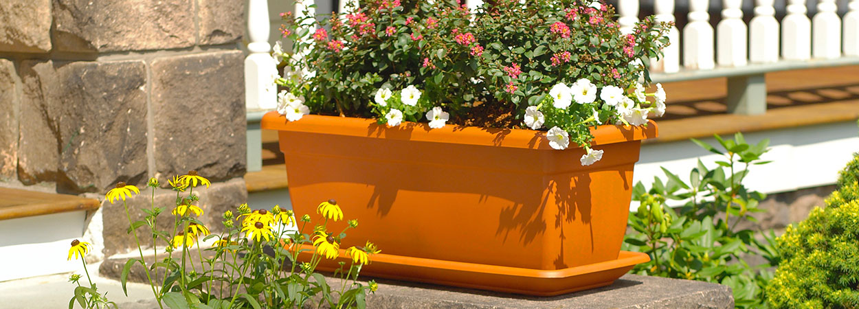  Blumenkästen