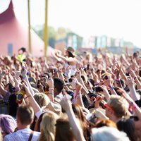 Festivalbedarf image