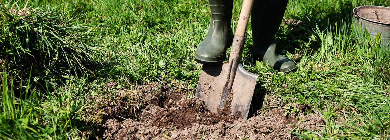 Gartenschaufeln